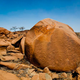 Image for article titled Teen Boulder Can't Wait For Landslide To Roll It Into Ravine Where They Get It